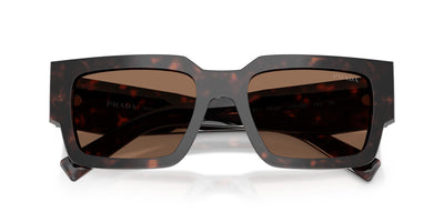 Prada SPR B17 Root Tortoise/Dark Brown #colour_root-tortoise-dark-brown