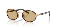 Prada SPR B56 Root Tortoise/Lente Camomilla Bio #colour_root-tortoise-lente-camomilla-bio