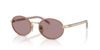 Prada SPR B56 Pecan/Light Purple Brown #colour_pecan-light-purple-brown