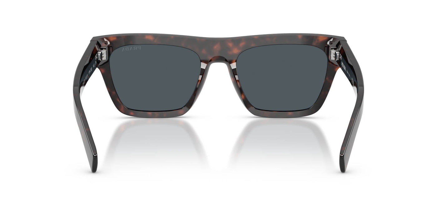 Prada SPR C03 Root Havana/Dark Grey #colour_root-havana-dark-grey