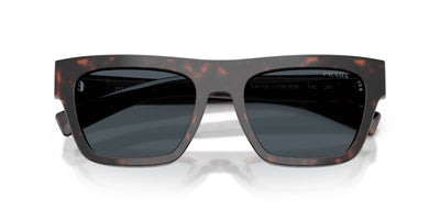 Prada SPR C03 Root Havana/Dark Grey #colour_root-havana-dark-grey