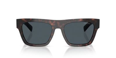 Prada SPR C03 Root Havana/Dark Grey #colour_root-havana-dark-grey