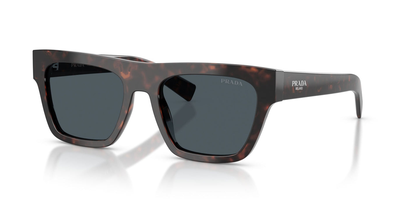 Prada SPR C03 Root Havana/Dark Grey #colour_root-havana-dark-grey