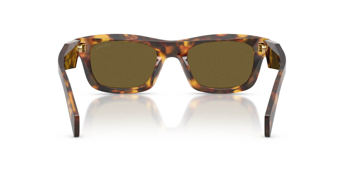 Prada SPR C06 Honey Tortoise/Dark Brown #colour_honey-tortoise-dark-brown