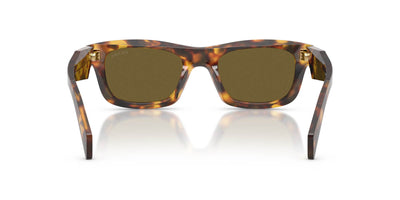 Prada SPR C06 Honey Tortoise/Dark Brown #colour_honey-tortoise-dark-brown