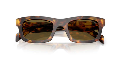 Prada SPR C06 Honey Tortoise/Dark Brown #colour_honey-tortoise-dark-brown
