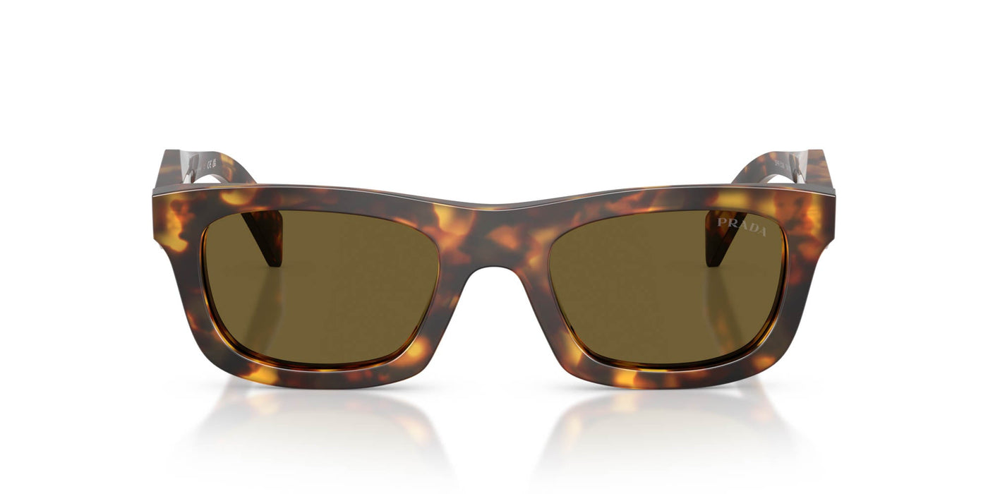 Prada SPR C06 Honey Tortoise/Dark Brown #colour_honey-tortoise-dark-brown