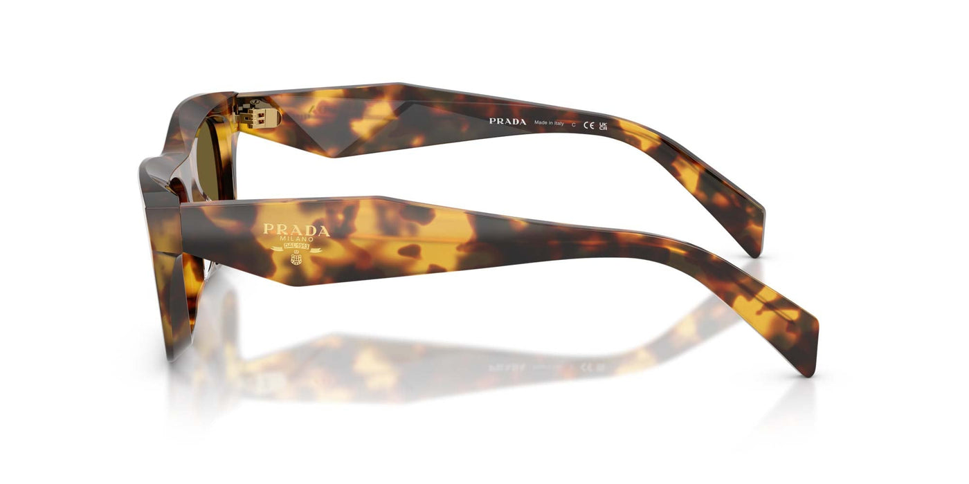 Prada SPR C06 Honey Tortoise/Dark Brown #colour_honey-tortoise-dark-brown