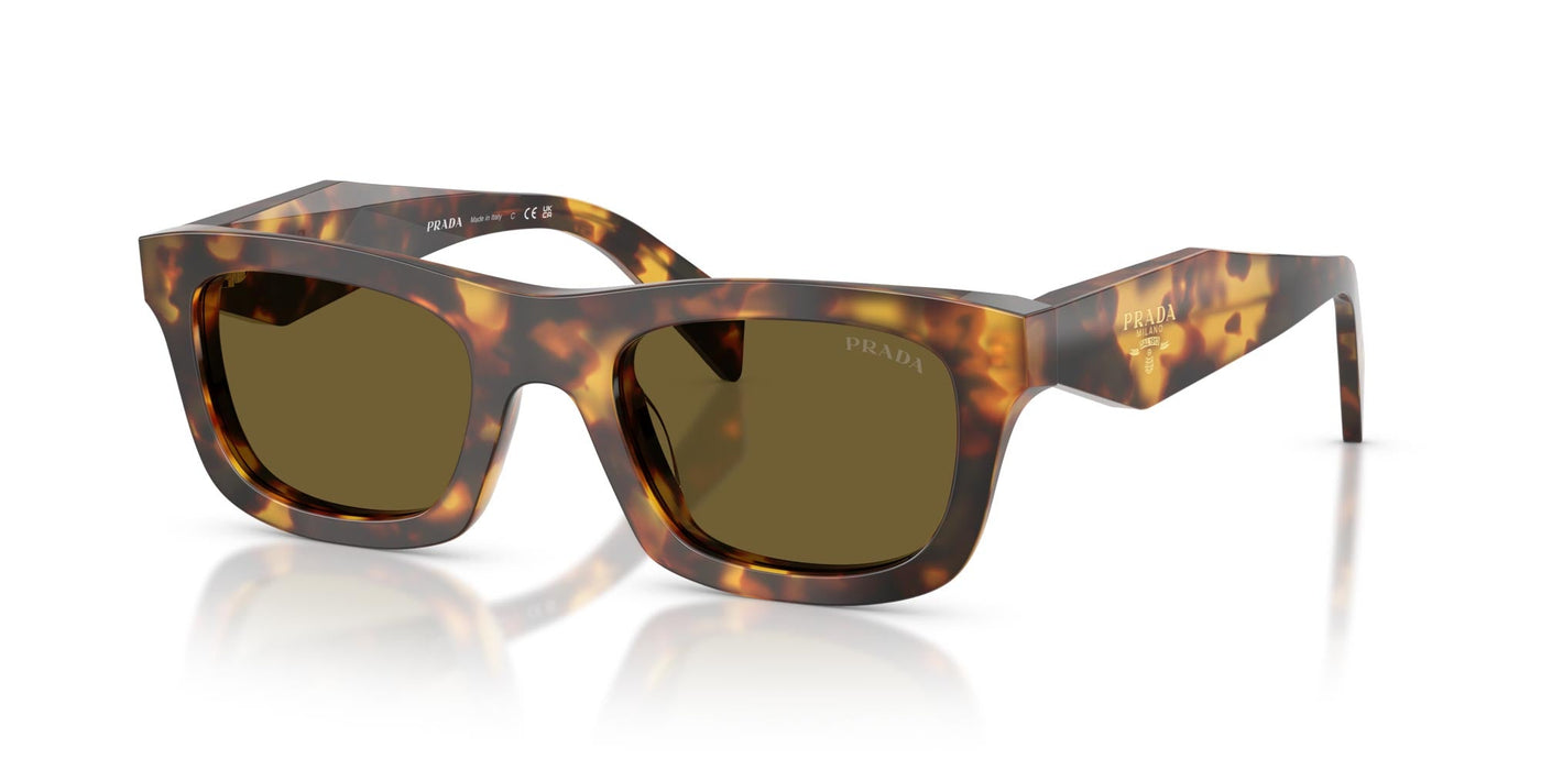 Prada SPR C06 Honey Tortoise/Dark Brown #colour_honey-tortoise-dark-brown