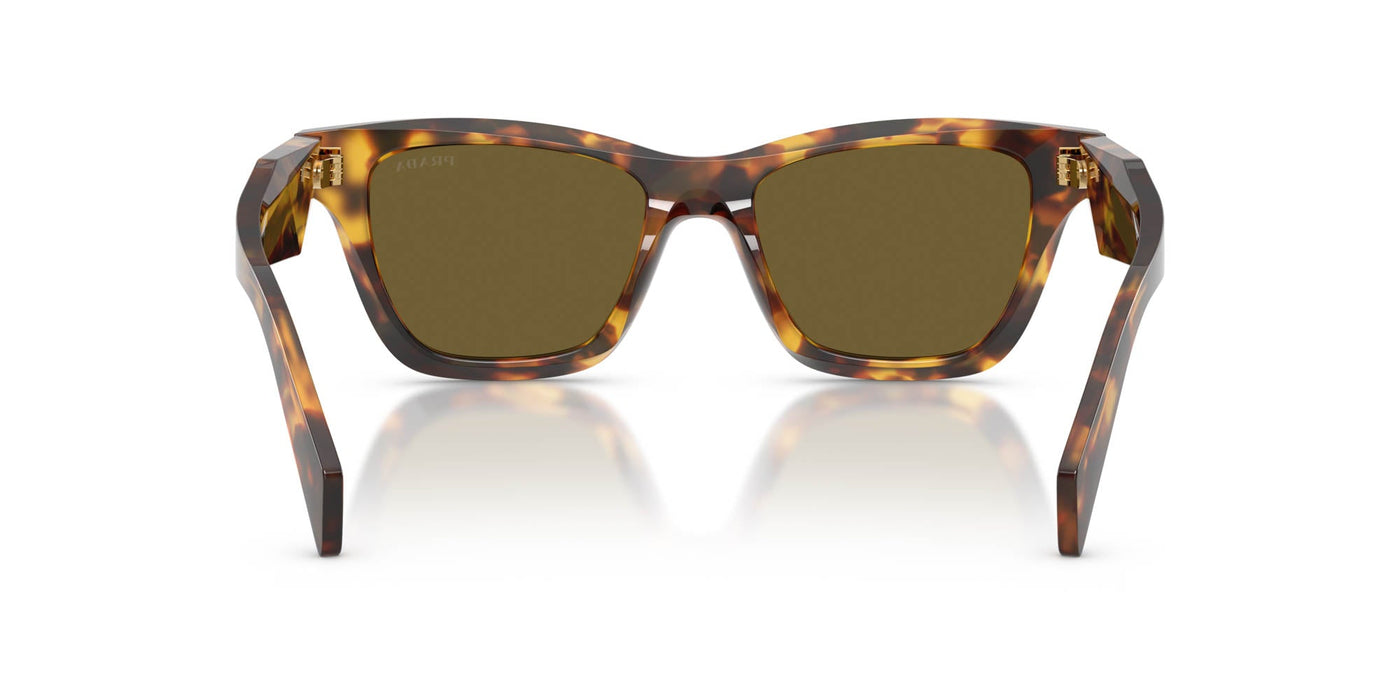 Prada SPR C07 Honey Tortoise/Dark Brown #colour_honey-tortoise-dark-brown