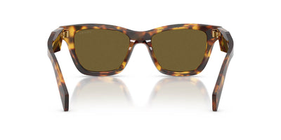 Prada SPR C07 Honey Tortoise/Dark Brown #colour_honey-tortoise-dark-brown