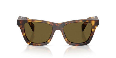 Prada SPR C07 Honey Tortoise/Dark Brown #colour_honey-tortoise-dark-brown