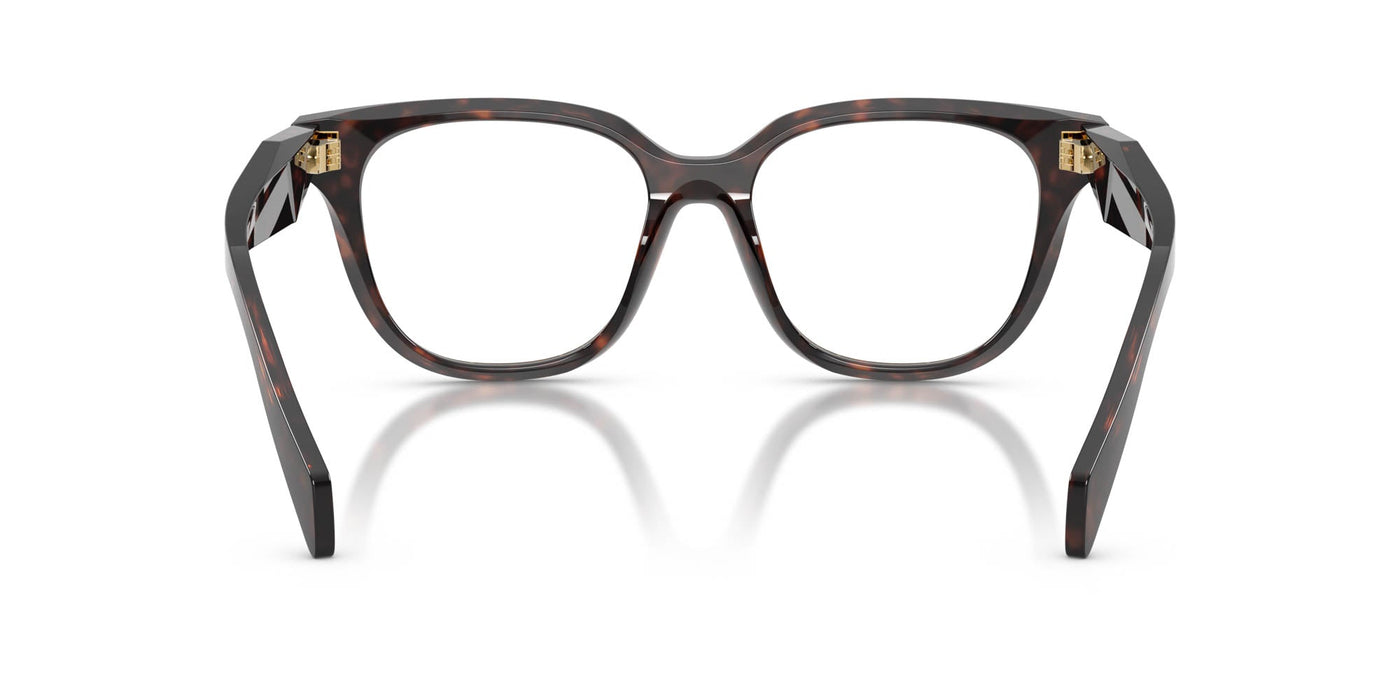 Prada VPR C11 Root Tortoise #colour_root-tortoise