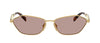 #colour_gold-light-purple-brown