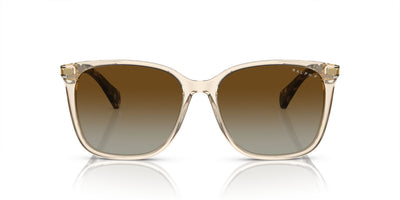 Ralph by Ralph Lauren RA5293 Shiny Transparent Brown/Brown Polarised Gradient #colour_shiny-transparent-brown-brown-polarised-gradient