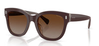 Ralph by Ralph Lauren RA5301U#colour_shiny-milky-brown-light-brown-polarised