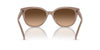 Ralph by Ralph Lauren RA5305U Shiny Solid Beige/Brown #colour_shiny-solid-beige-brown