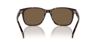 Ralph by Ralph Lauren RA5313U Shiny Dark Havana/Brown #colour_shiny-dark-havana-brown