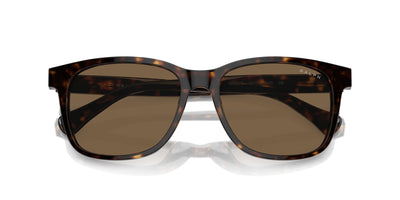 Ralph by Ralph Lauren RA5313U Shiny Dark Havana/Brown #colour_shiny-dark-havana-brown