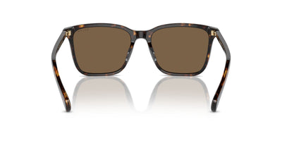 Ralph by Ralph Lauren RA5314U Shiny Dark Havana/Brown #colour_shiny-dark-havana-brown