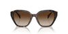 Ralph by Ralph Lauren RA5315U Shiny Dark Havana/Brown Gradient #colour_shiny-dark-havana-brown-gradient