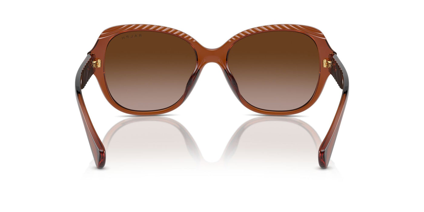 Ralph by Ralph Lauren RA5316U Shiny Dark Havana/Brown Gradient #colour_shiny-dark-havana-brown-gradient