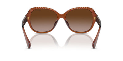 Ralph by Ralph Lauren RA5316U Shiny Dark Havana/Brown Gradient #colour_shiny-dark-havana-brown-gradient