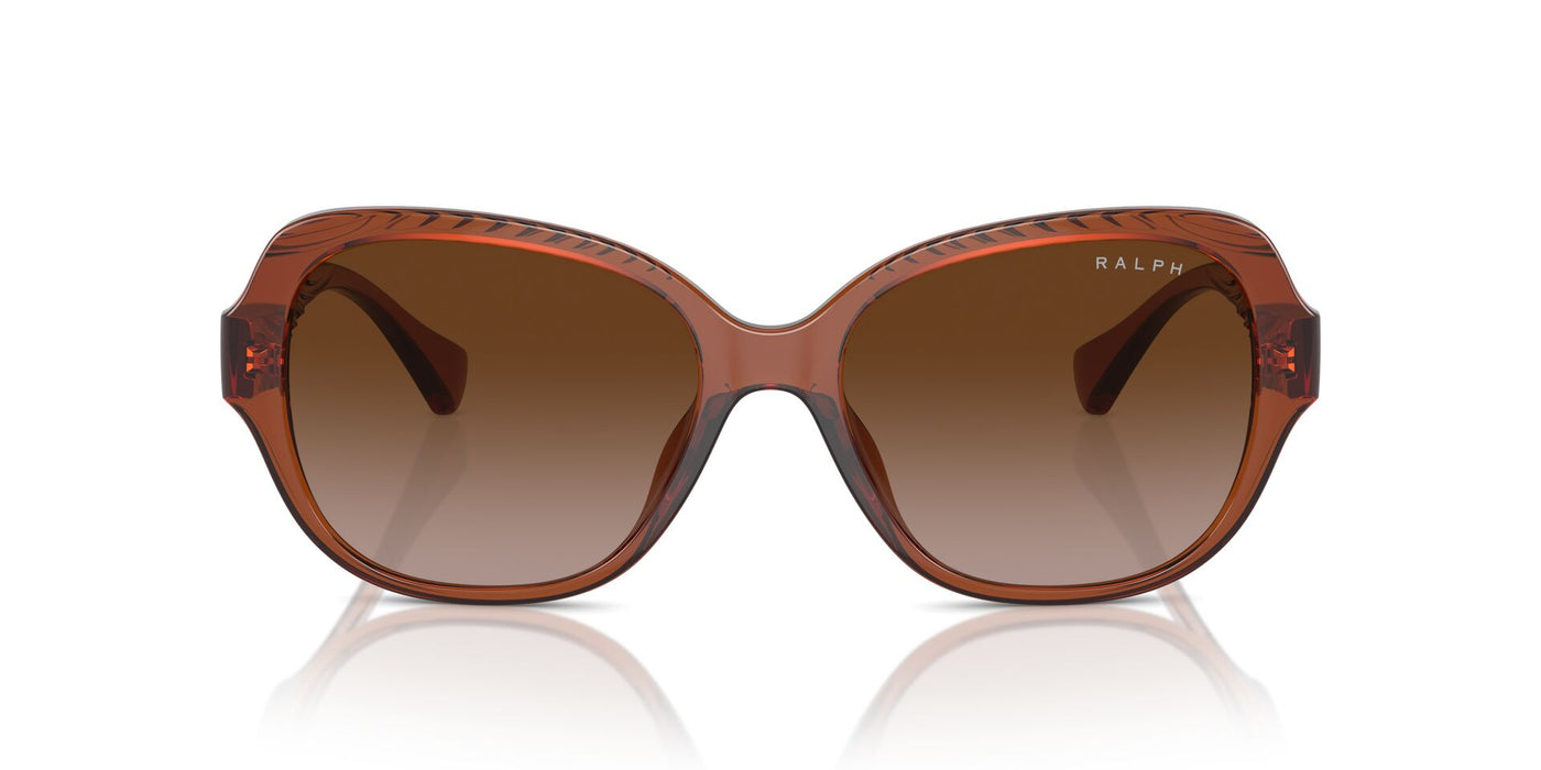 Ralph by Ralph Lauren RA5316U Shiny Dark Havana/Brown Gradient #colour_shiny-dark-havana-brown-gradient