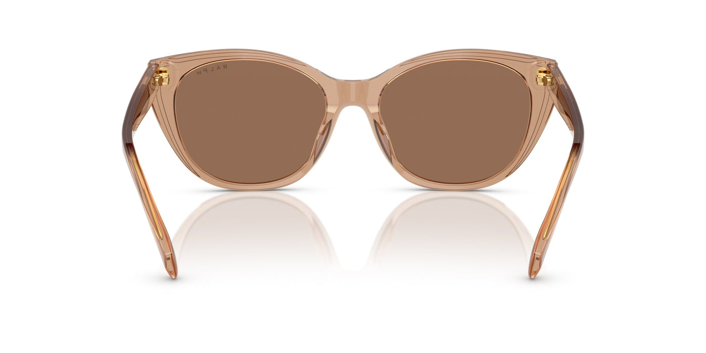 Ralph by Ralph Lauren RA5324U Shiny Transparent Brown/Brown #colour_shiny-transparent-brown-brown