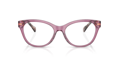 Ralph by Ralph Lauren RA7141 Shiny Transparent Violet #colour_shiny-transparent-violet