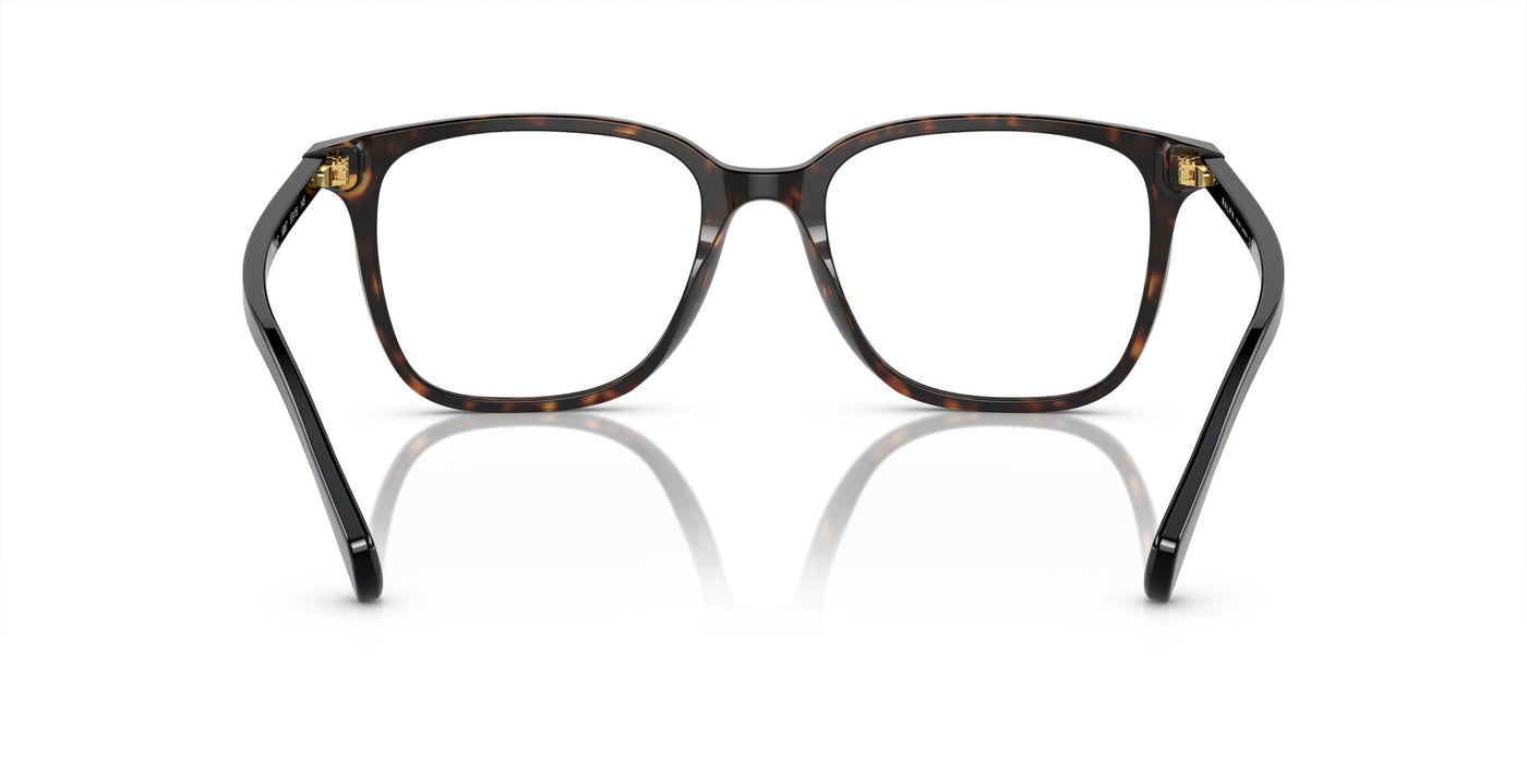 Ralph by Ralph Lauren RA7147 Shiny Dark Havana #colour_shiny-dark-havana