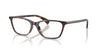 Ralph by Ralph Lauren RA7187U Shiny Dark Havana #colour_shiny-dark-havana