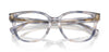 Ralph by Ralph Lauren RA7196U#colour_grey-havana
