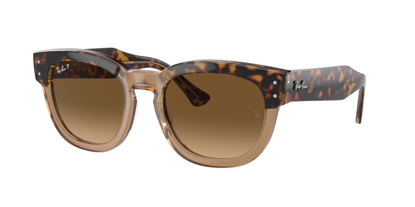 Ray-Ban Mega Hawkeye RB0298S Havana On Transparent Brown/Brown Polarised #colour_havana-on-transparent-brown-brown-polarised