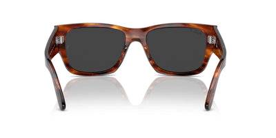 Ray-Ban Carlos RB0947S Striped Havana/Black Polarised #colour_striped-havana-black-polarised