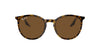 Ray-Ban RB2204 Havana On Transparent/Brown #colour_havana-on-transparent-brown