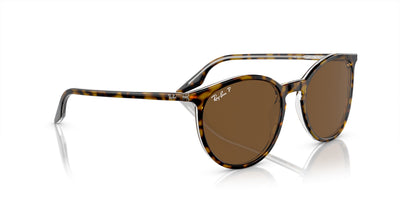 Ray-Ban RB2204 Havana On Transparent/Brown #colour_havana-on-transparent-brown