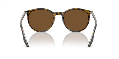 Ray-Ban RB2204 Havana On Transparent/Brown #colour_havana-on-transparent-brown