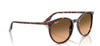 Ray-Ban RB2204#colour_havana-red-tortoiseshell-pink-black-gradient