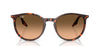 Ray-Ban RB2204#colour_havana-red-tortoiseshell-pink-black-gradient