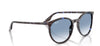 Ray-Ban RB2204#colour_havana-blue-tortoiseshell-clear-blue-gradient