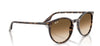 Ray-Ban RB2204#colour_havana-yellow-tortoiseshell-clear-light-brown-gradient