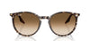 Ray-Ban RB2204#colour_havana-yellow-tortoiseshell-clear-light-brown-gradient
