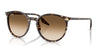 Ray-Ban RB2204#colour_havana-yellow-tortoiseshell-clear-light-brown-gradient