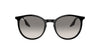 Ray-Ban RB2204 Black/Light Grey #colour_black-light-grey