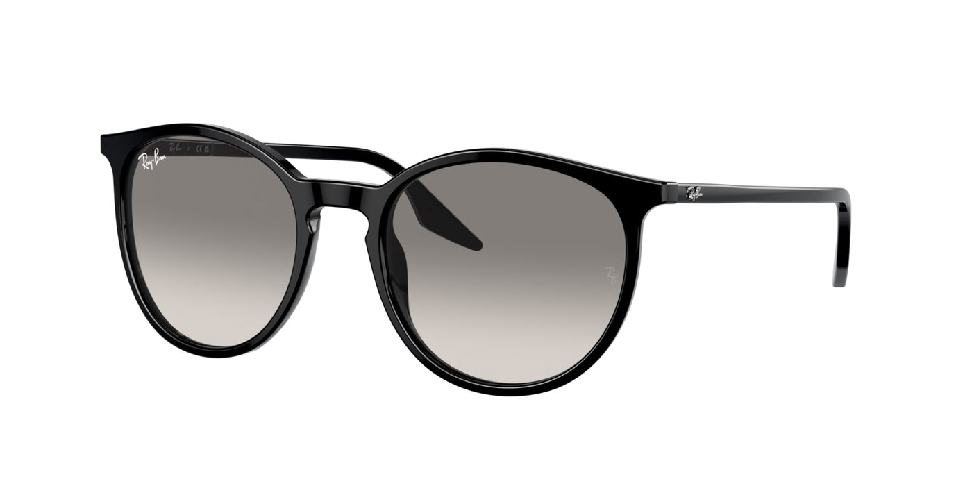 Ray-Ban RB2204 Black/Light Grey #colour_black-light-grey