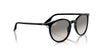 Ray-Ban RB2204 Black/Light Grey #colour_black-light-grey