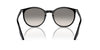 Ray-Ban RB2204 Black/Light Grey #colour_black-light-grey