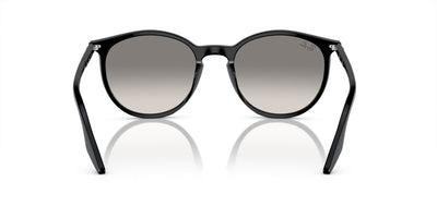 Ray-Ban RB2204 Black/Light Grey #colour_black-light-grey