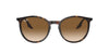 Ray-Ban RB2204 Havana/Light Brown #colour_havana-light-brown
